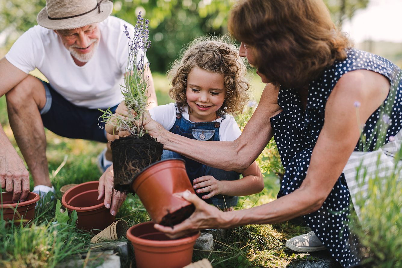 Estate and Legacy Planning Services | Alliance Financial